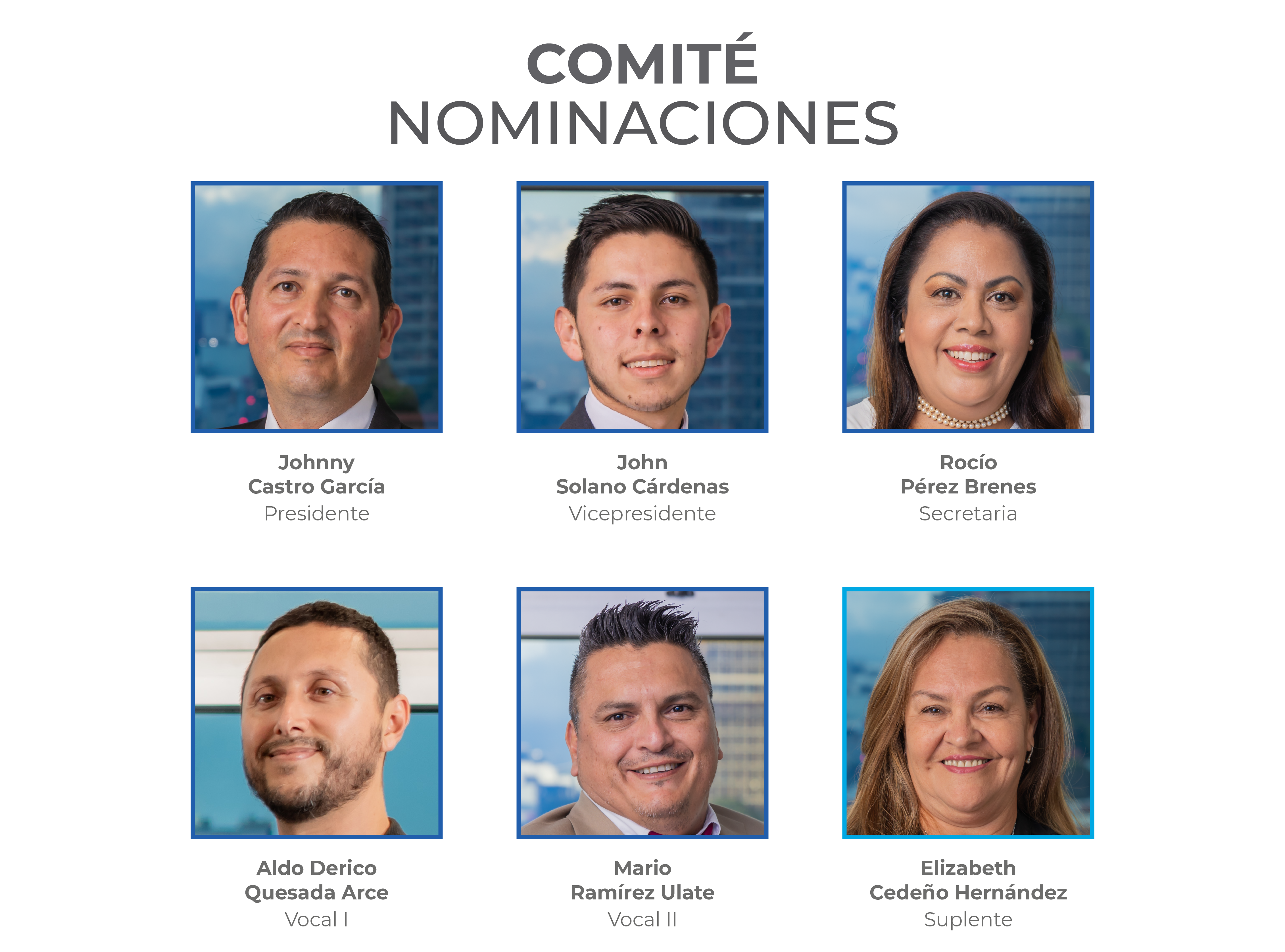 Comité de Nominaciones