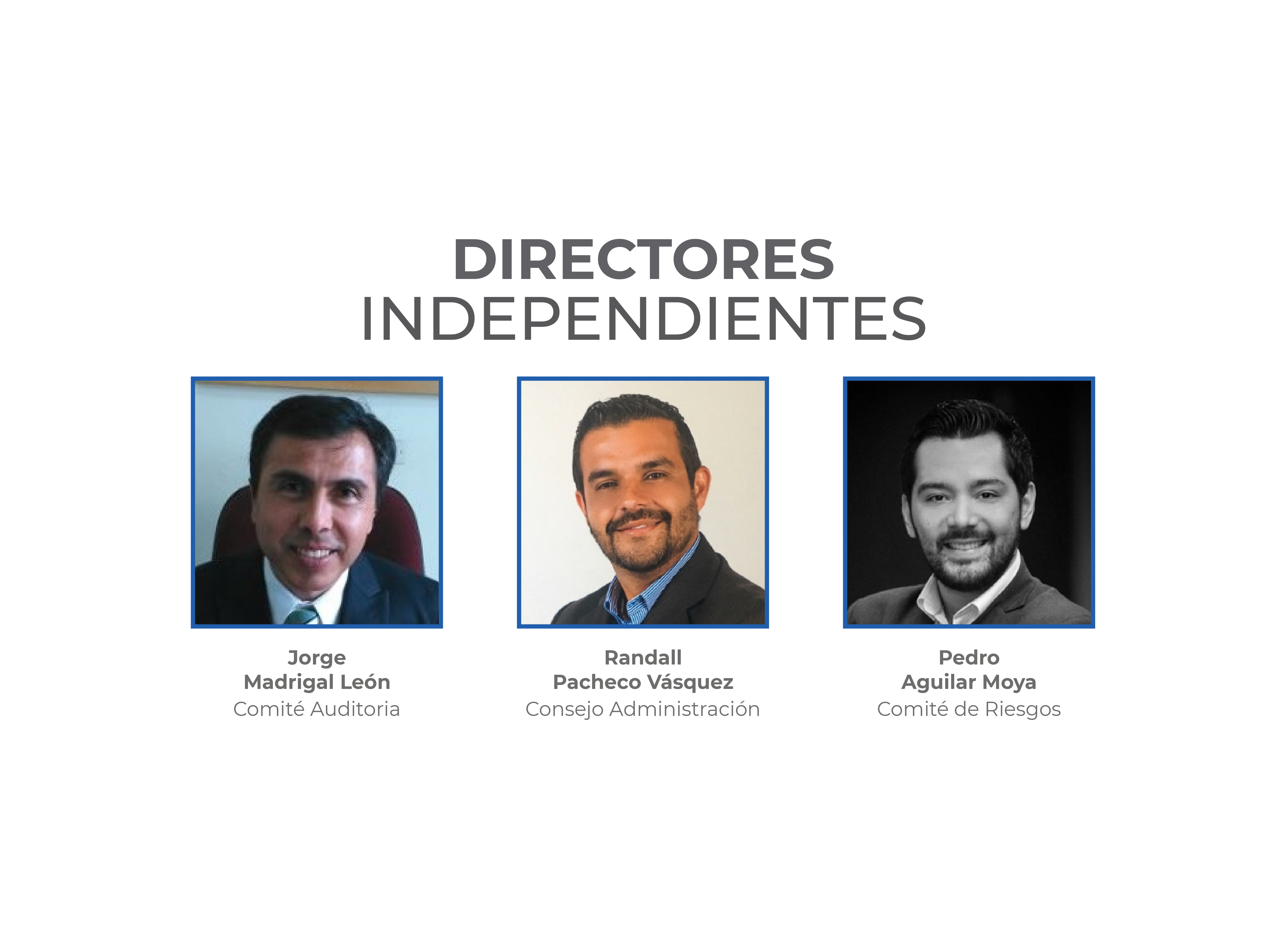 Directores Independientes