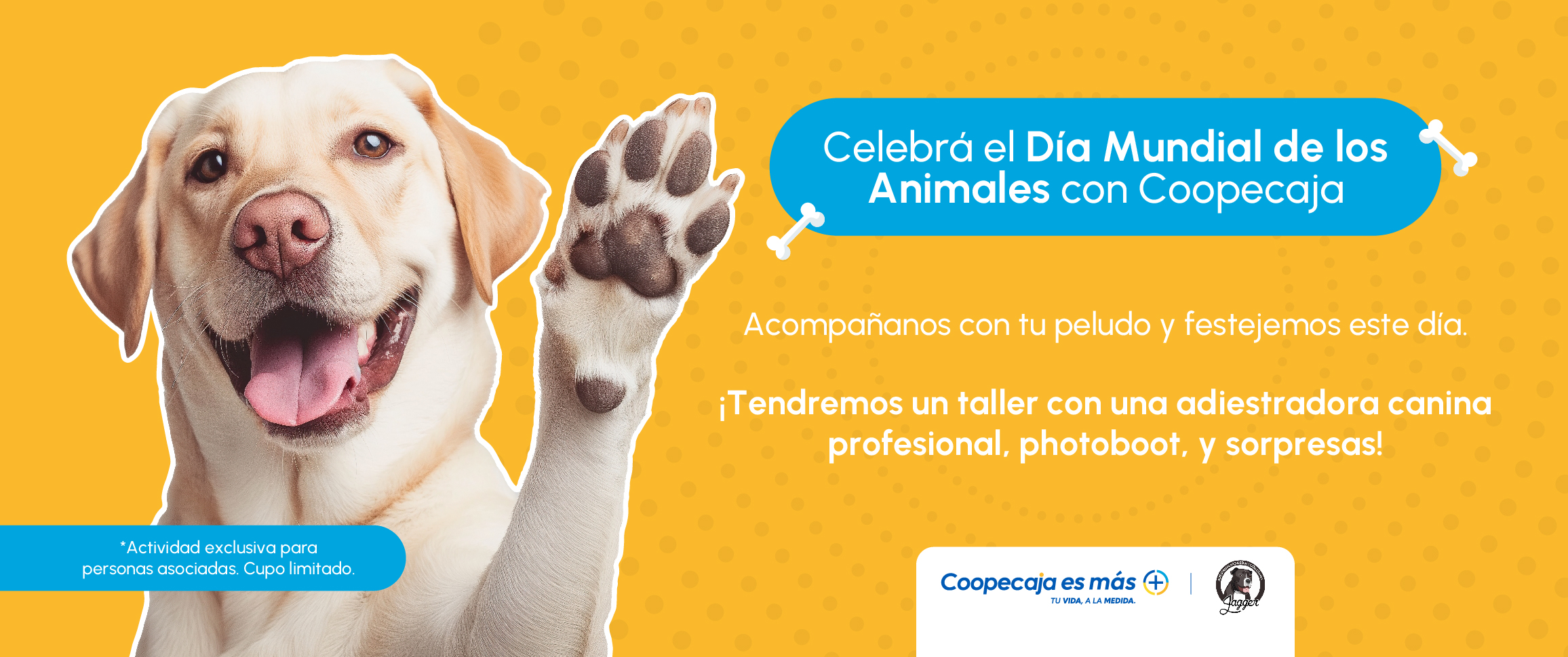 Portada animales